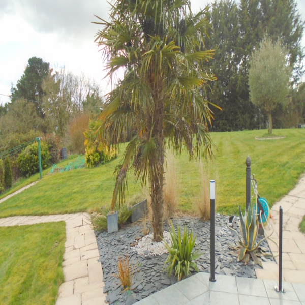 Offres de vente Maison Quintin 22800