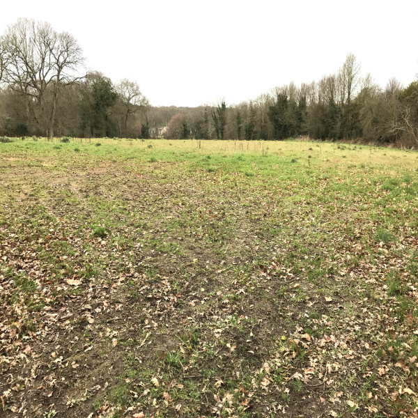 Offres de vente Terrain Plouagat 22170