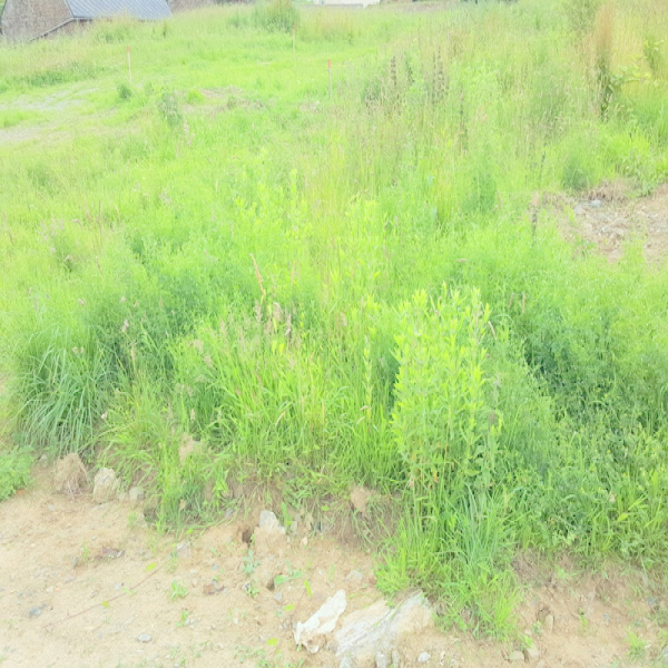 Offres de vente Terrain Trégomeur 22590