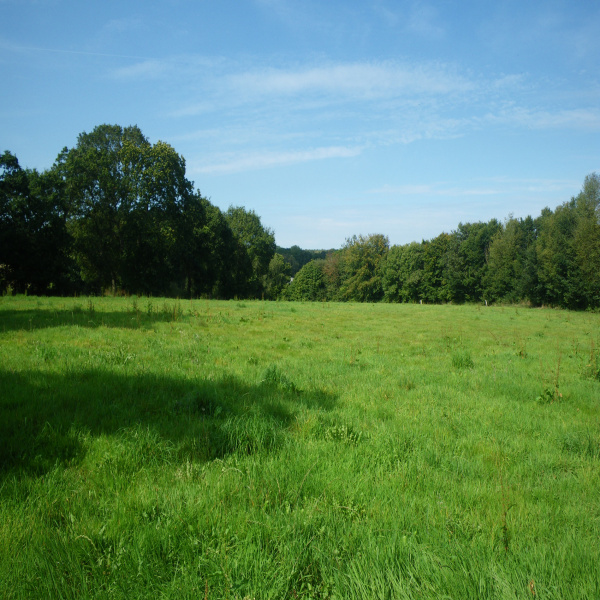 Offres de vente Terrain Lanrodec 22170